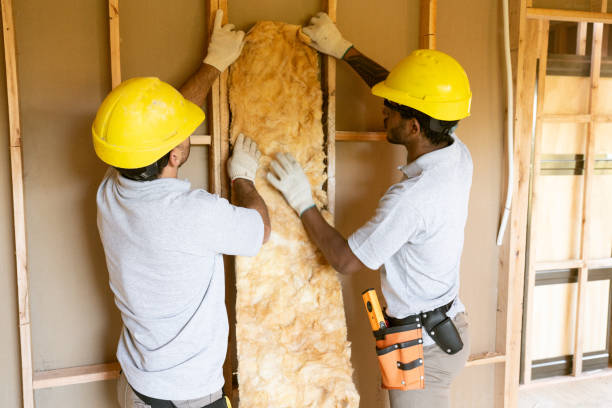 Eco-Friendly or Green Insulation Solutions in Springfield, GA